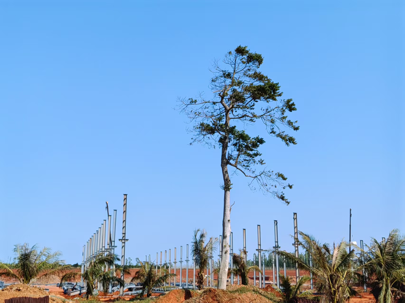 廠房鋼結構廠家 立柱